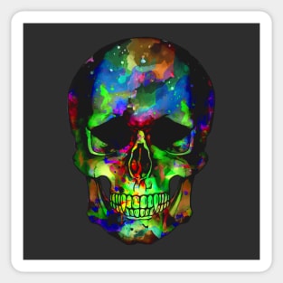 Skull Anatomy 2 Sticker